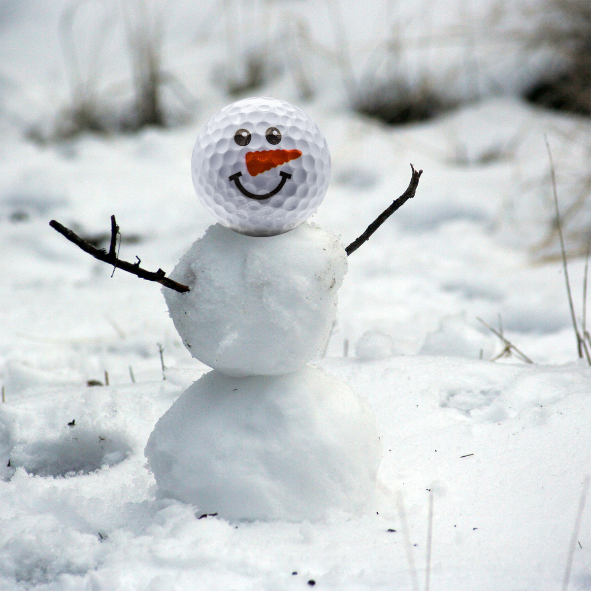 New Novelty Snowman Face Golf Balls