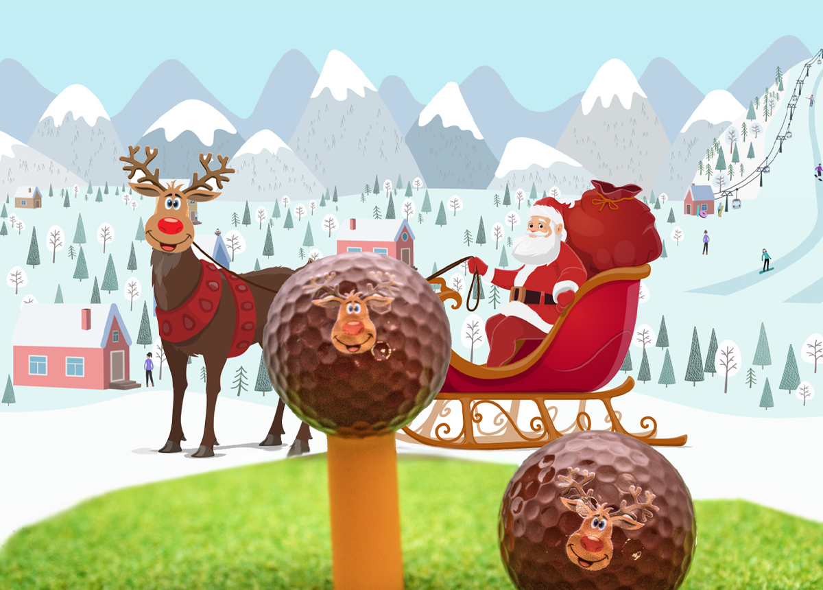 New Novelty Reindeer Golf Balls